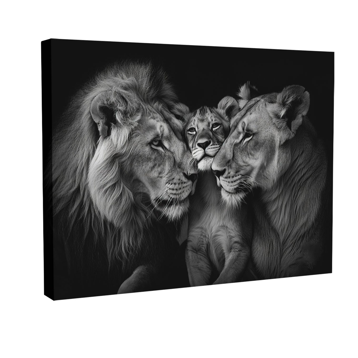 Black & White Cozy Lion Family Canvas Print | Artbyusuf