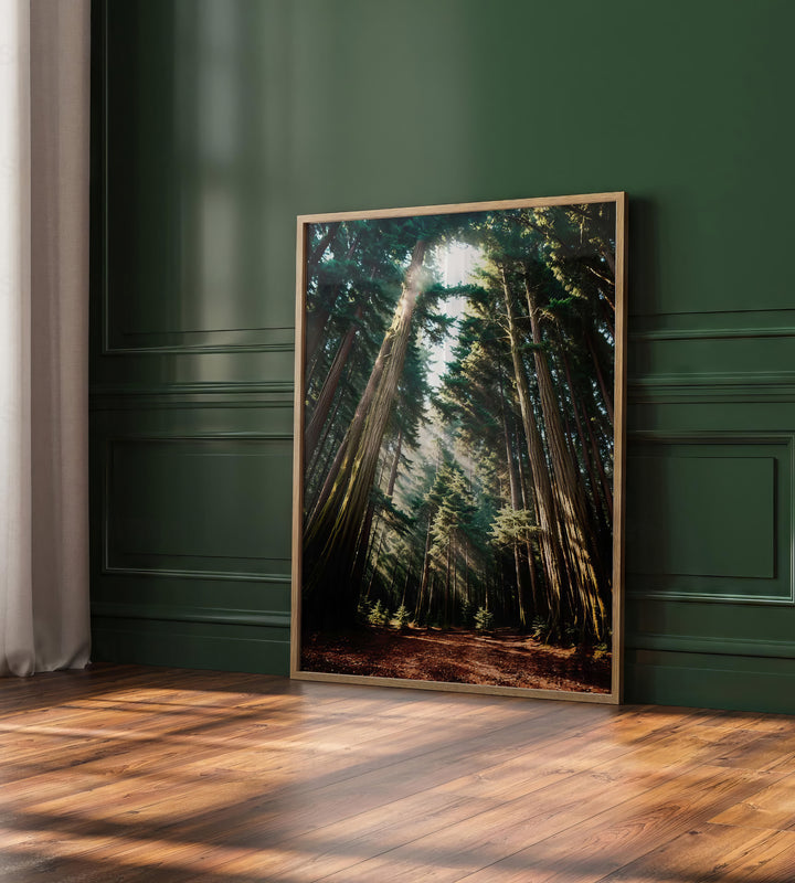 Mary in the Forest Canvas Print – Heavenly Mother Nature Art