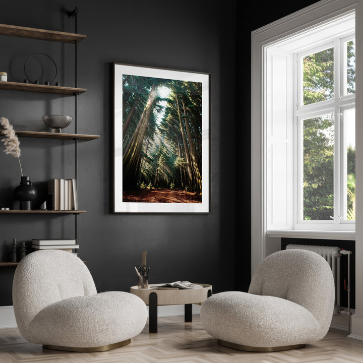 Mary in the Forest Canvas Print – Heavenly Mother Nature Art