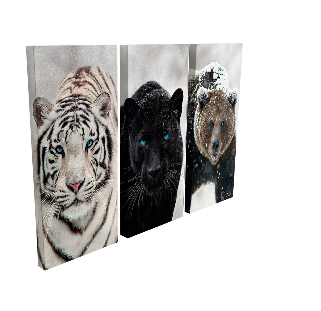 Wild Eyes Animals Wall art