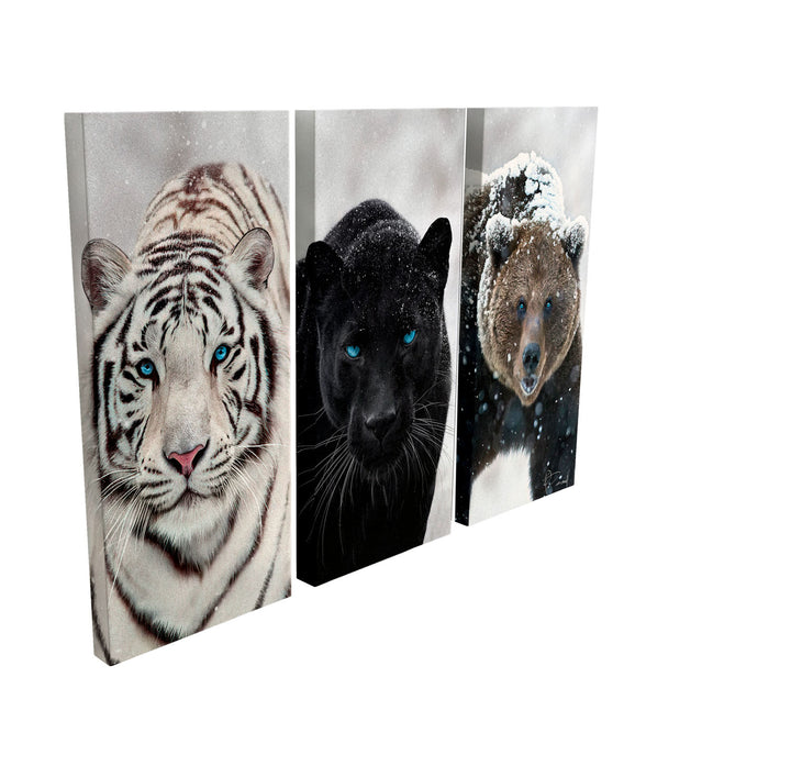 Wild Eyes Animals Wall art