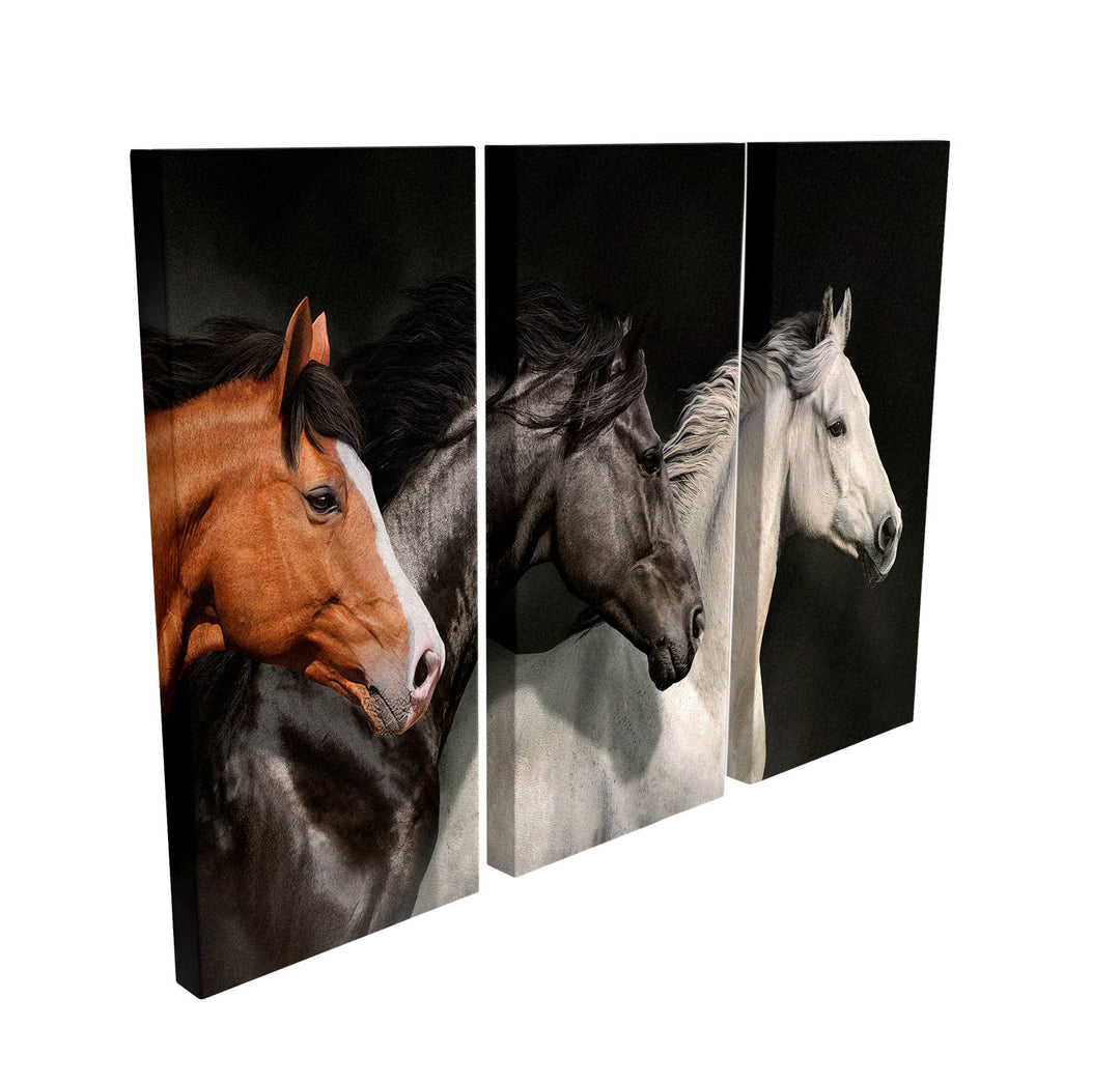 Set of 3 Running Horses Elegant Modern Wall Decor
