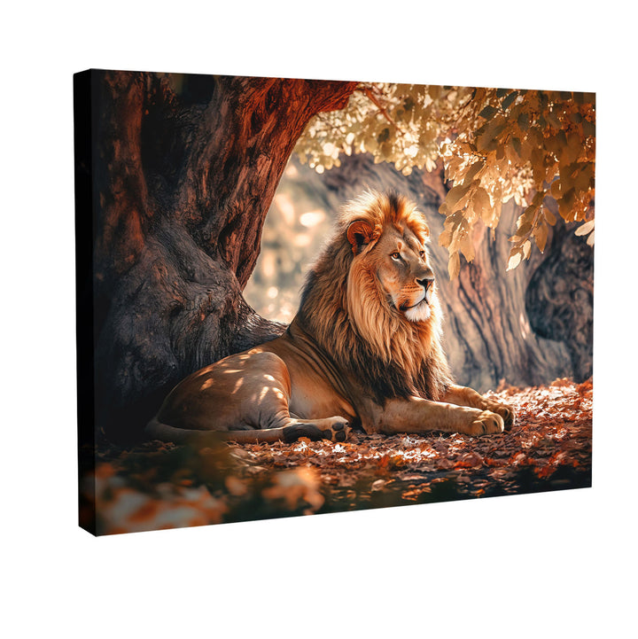 Calm of Lion Canvas Print