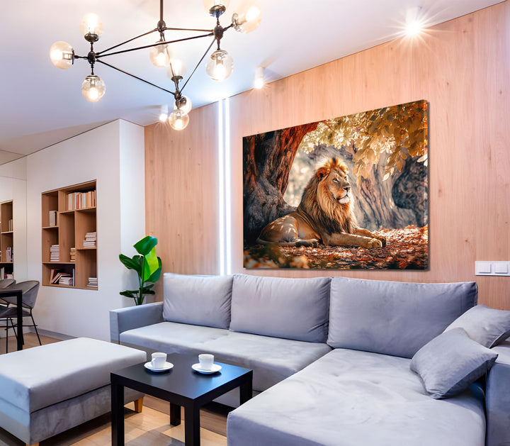Calm of Lion Canvas Print
