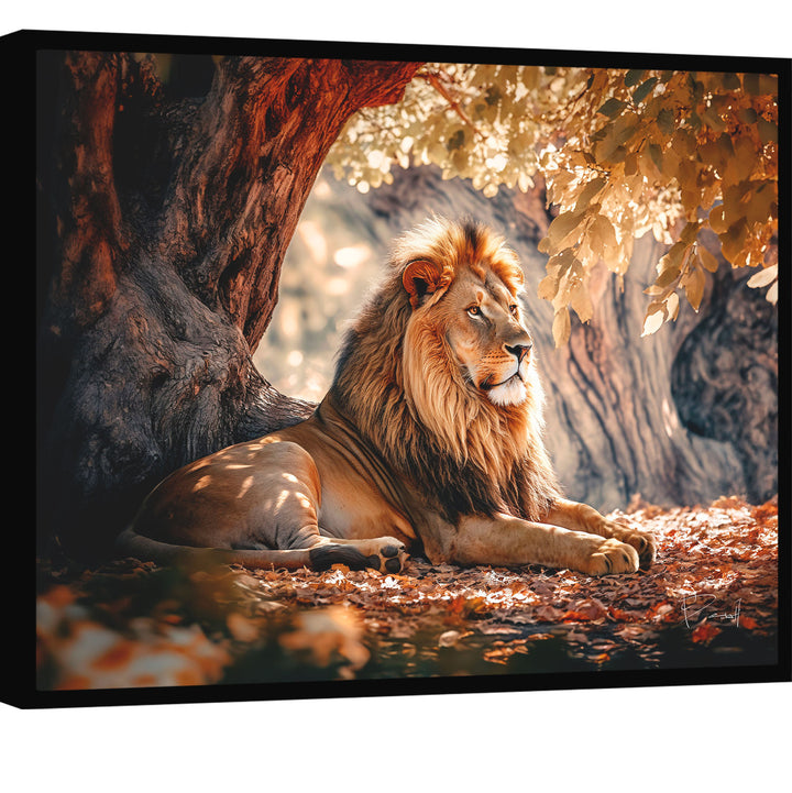 Calm of Lion Canvas Print