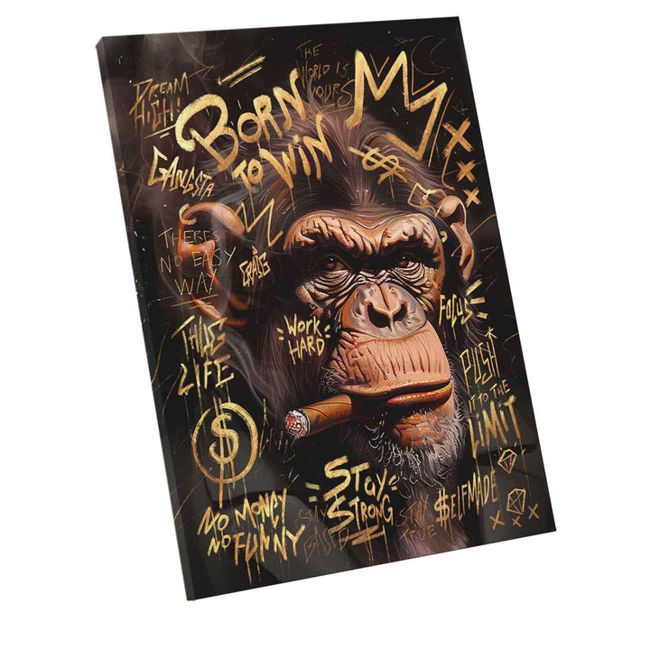 Luxury Monkey Money Wall Canvas Print