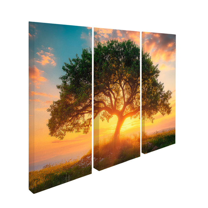 Tree at Sunset Frame 3 Pieces