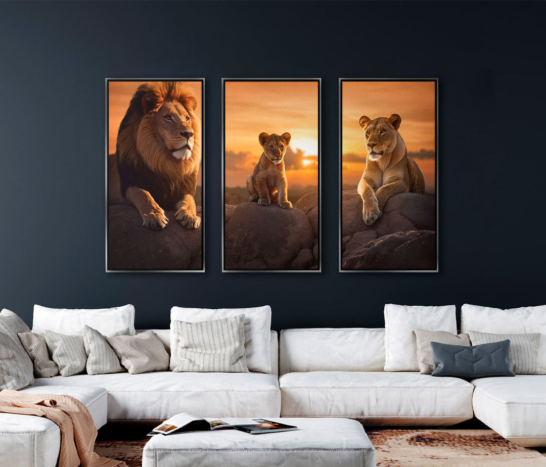 Lion Family 3 Peice wall art