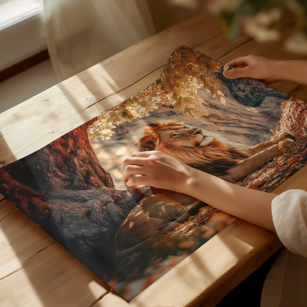 Calm of Lion Canvas Print