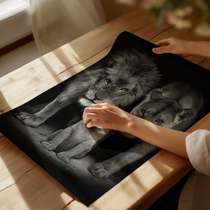 Roaring Lion Family Black and White Tone Canvas Print