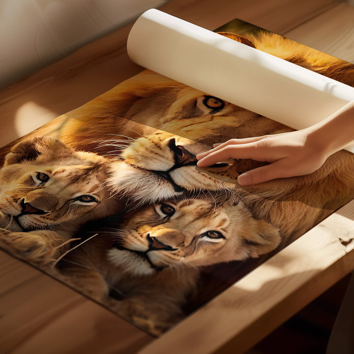 Cozy Lion Family With 2 Cubs