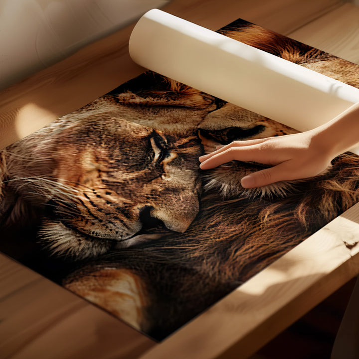 Lion and Lioness Couple Love Canvas Print