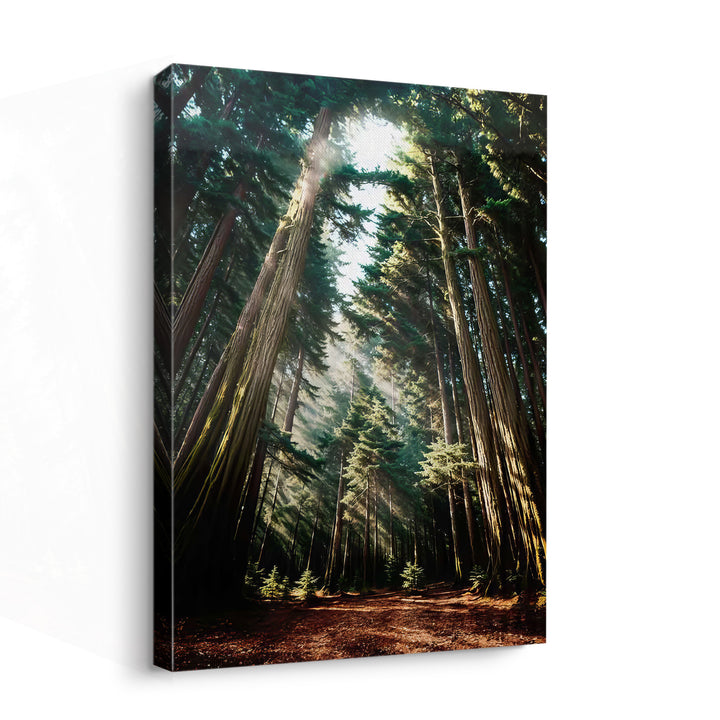 Mary in the Forest Canvas Print – Heavenly Mother Nature Art