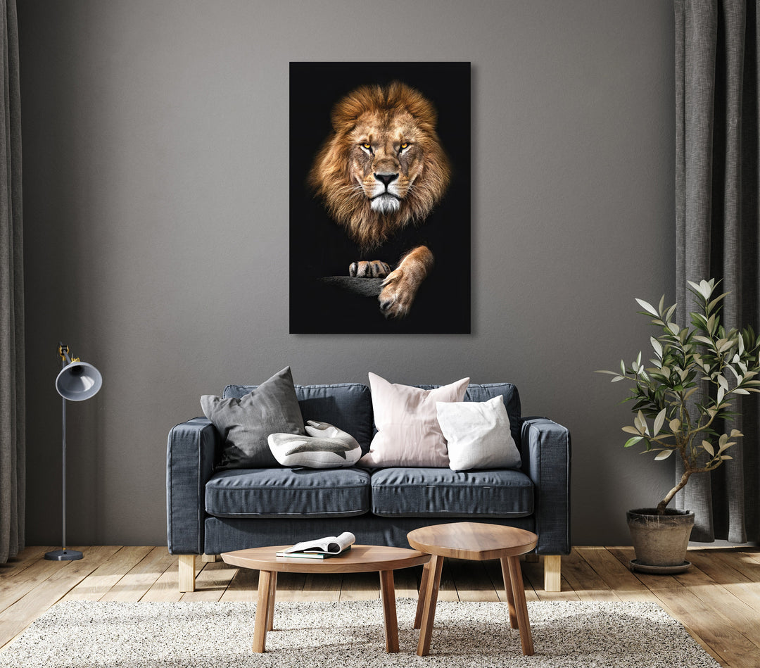 Focused Lion Wall Art