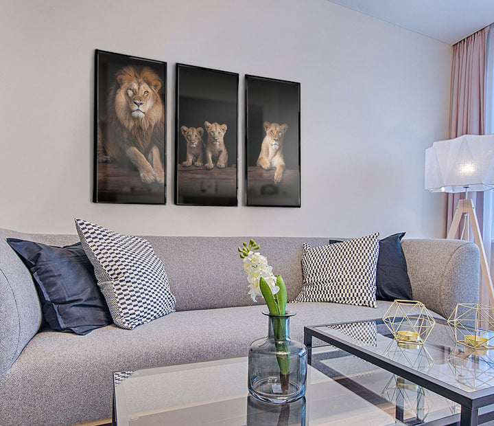 Lion Family Portrati 3 Peice wall art